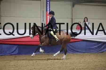 FMC-1451