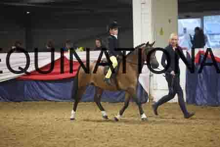 FMC-1964