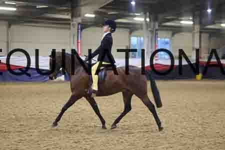 FMC-2093