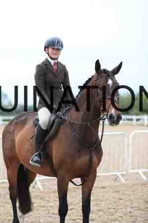 STJ-2486