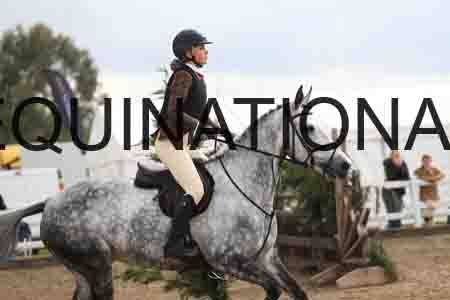 STJ-2640