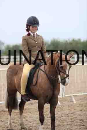 STJ-3054