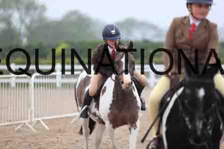 STJ-3075