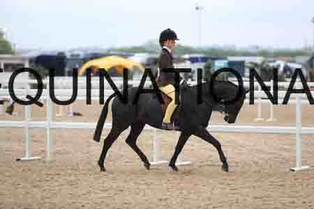 ROM-1626