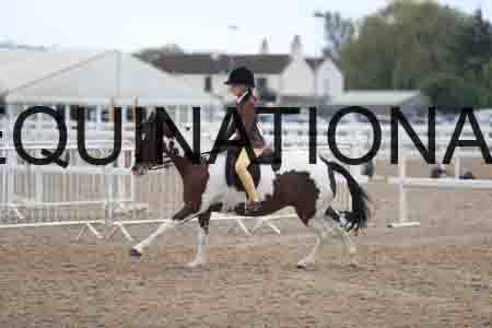 ROM-1677