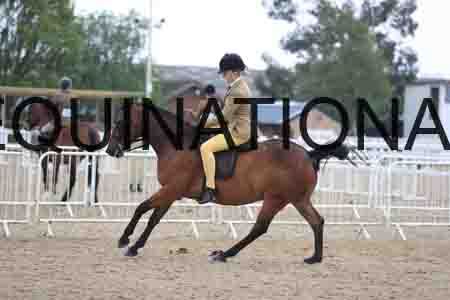 ROM-1809