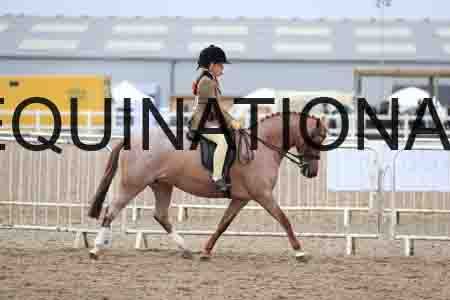 ROM-1903