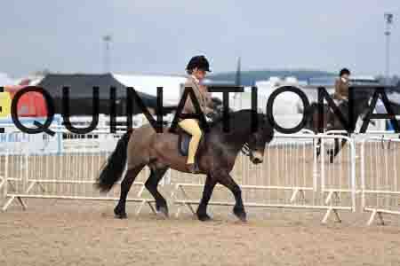ROM-2298