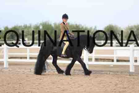 ROM-2563