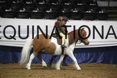 YST-1019