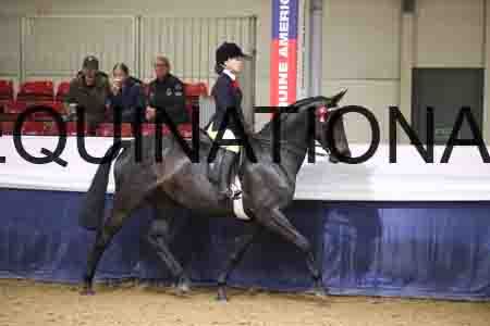 YST-1257