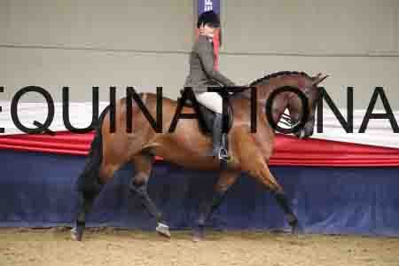 YST-1495
