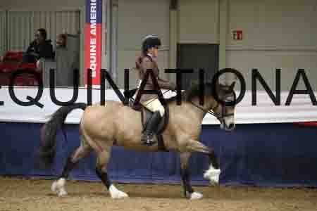 YST-2011