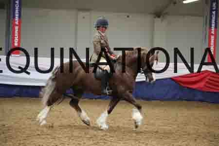 YST-2105
