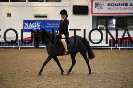 YST-2318