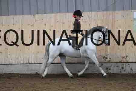 SPP-2393