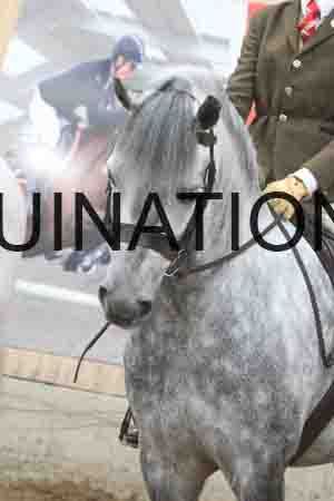 SPP-2537