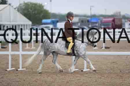 TRG-1677