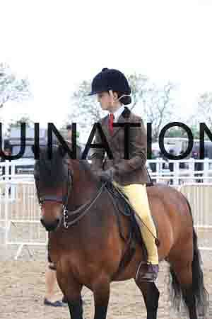 TRG-2008