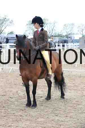 TRG-2013