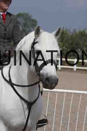 ORT-1483