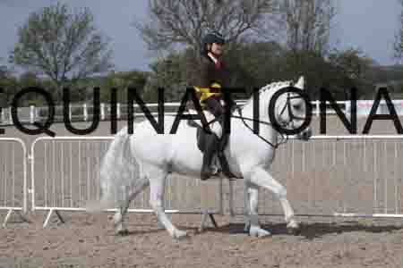 ORT-1518