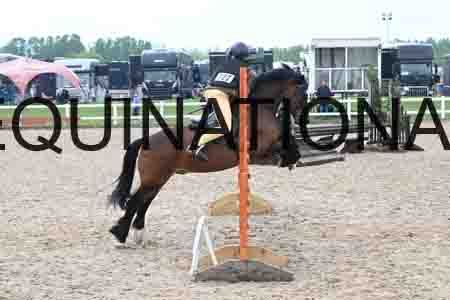 ORT-1540