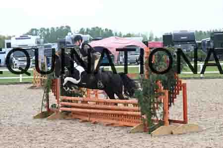 ORT-1542
