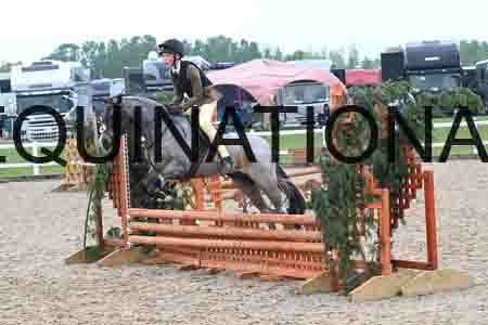 ORT-1556