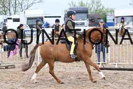 ORT-1720