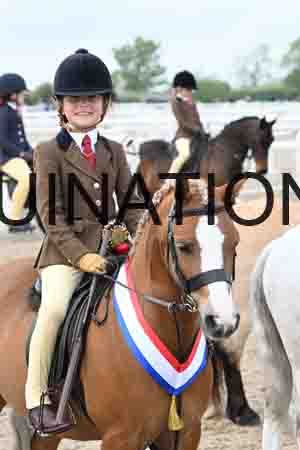 ORT-2011