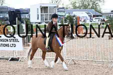 ORT-2014