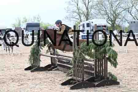 ORT-2081