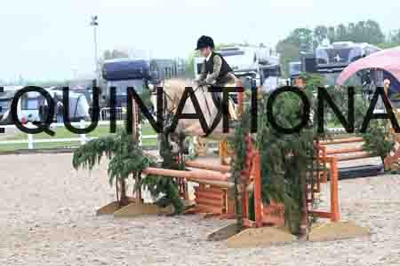 ORT-2109