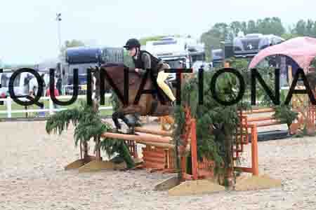 ORT-2138