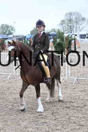 ORT-2241