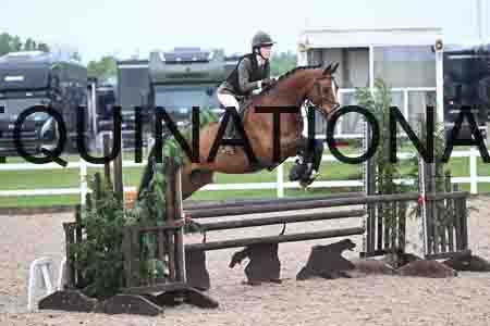ORT-1008