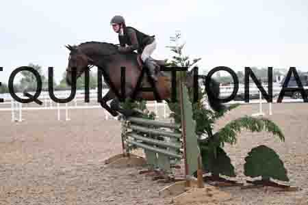ORT-1023