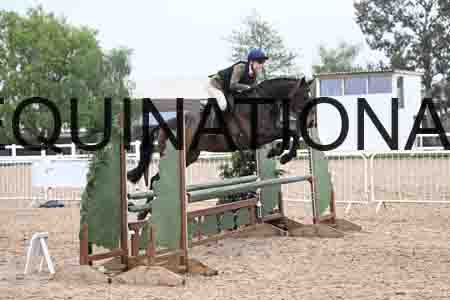 ORT-1038