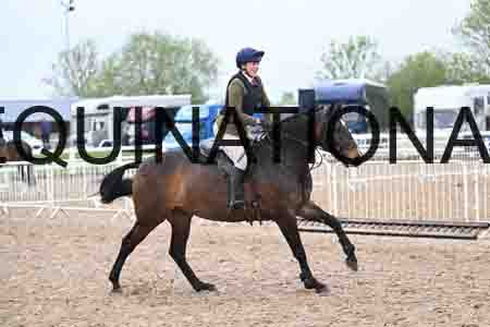 ORT-1047
