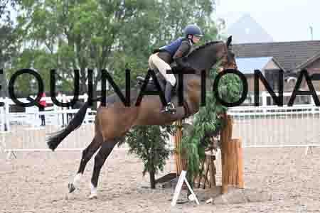 ORT-1094