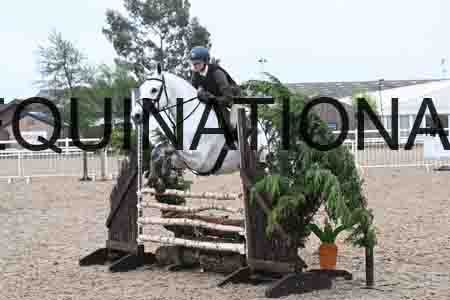 ORT-1128