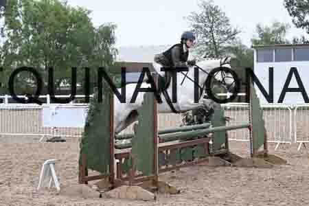 ORT-1132