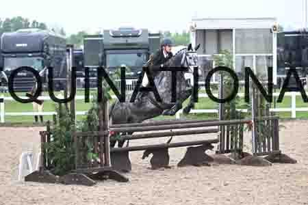 ORT-1154