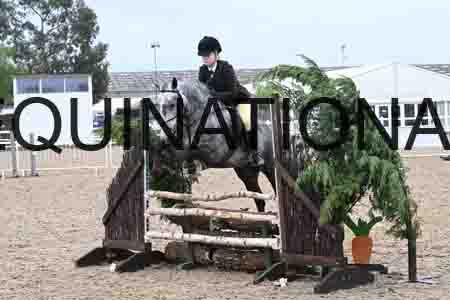 ORT-1250