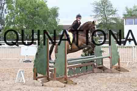 ORT-1253