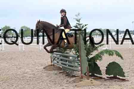 ORT-1256