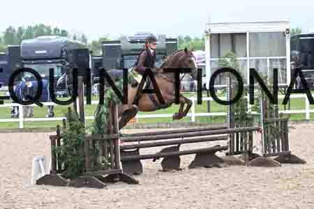 ORT-1258