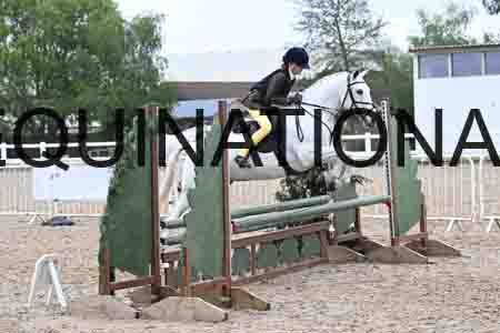 ORT-1278