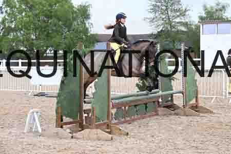 ORT-1357